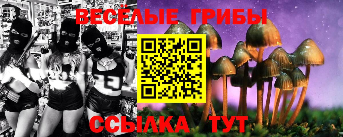 Галлюциногенные грибы Psilocybine cubensis  цена наркотик  Воткинск  Вход с VPN  Псилоцибиновые грибы прущие грибы 